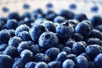 Integrative Translations blueberries