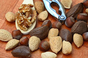 Integrative Translations walnuts almonds